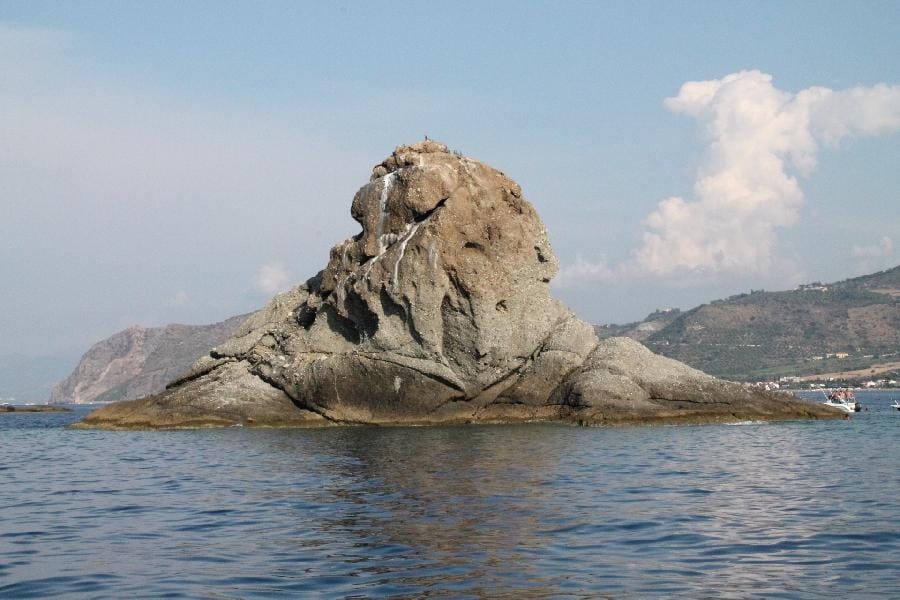 Patti - Marinello 2015