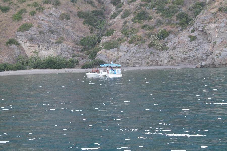 Patti - Marinello 2015