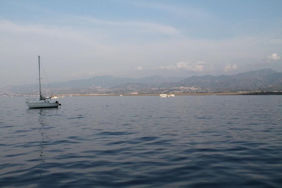 Patti - Marinello 2015