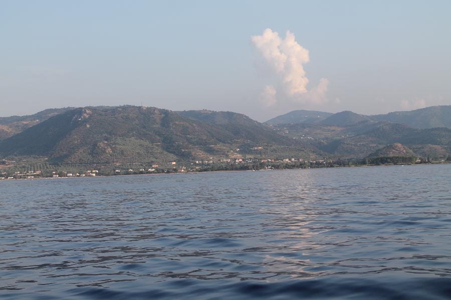 Patti - Marinello 2015