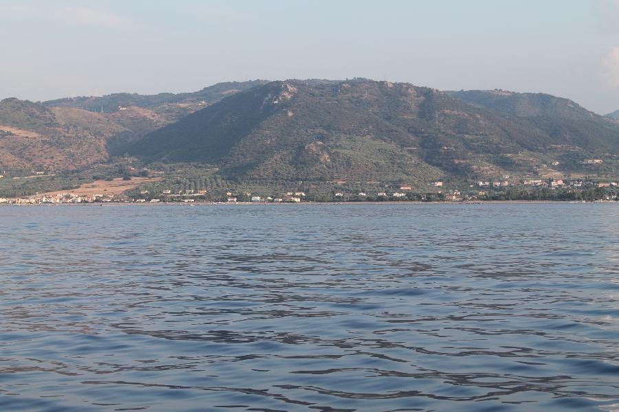 Patti - Marinello 2015