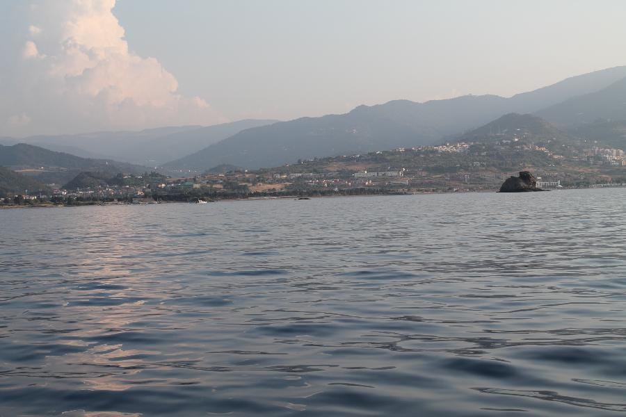 Patti - Marinello 2015