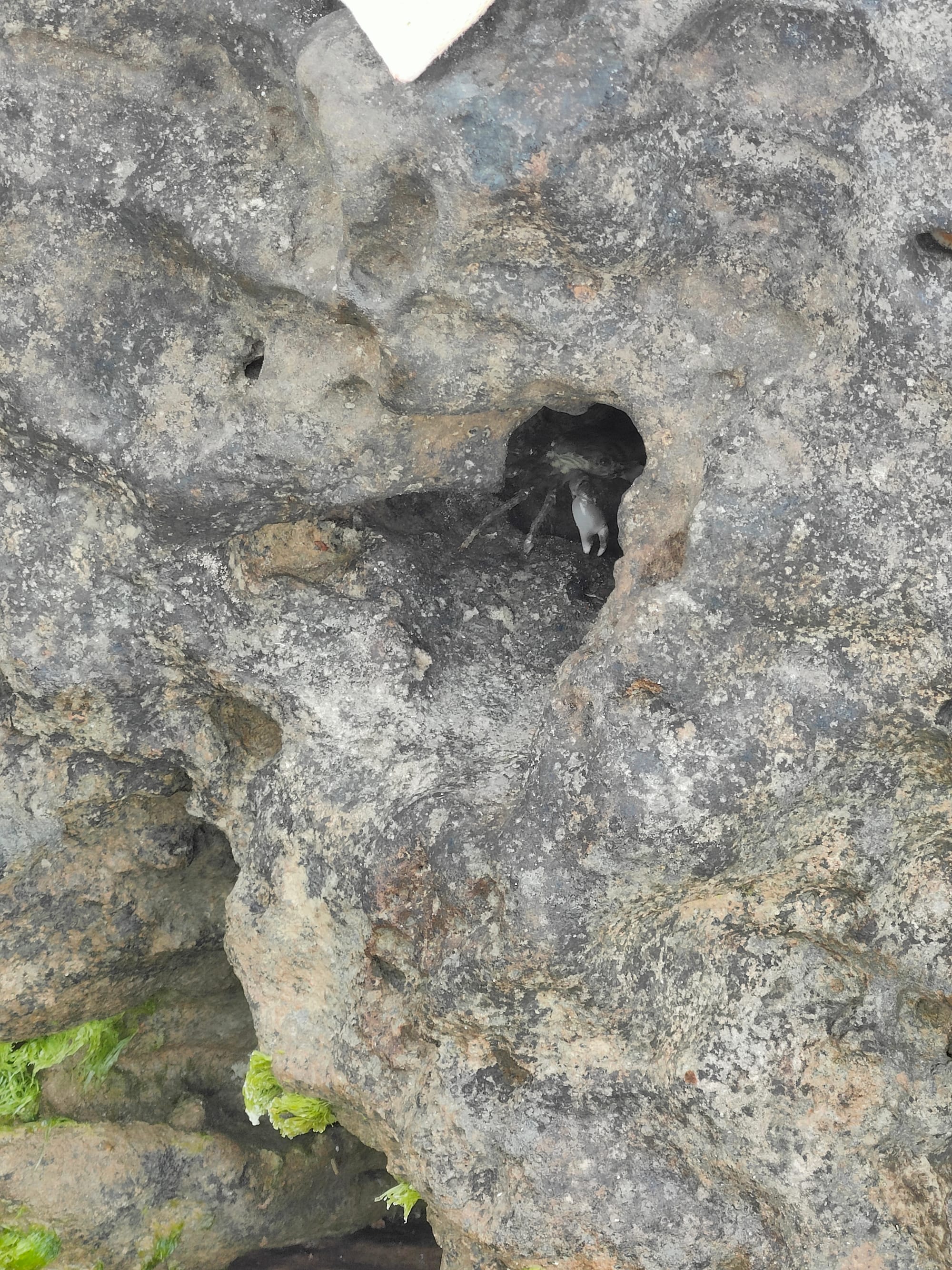 Scala dei Turchi 2024