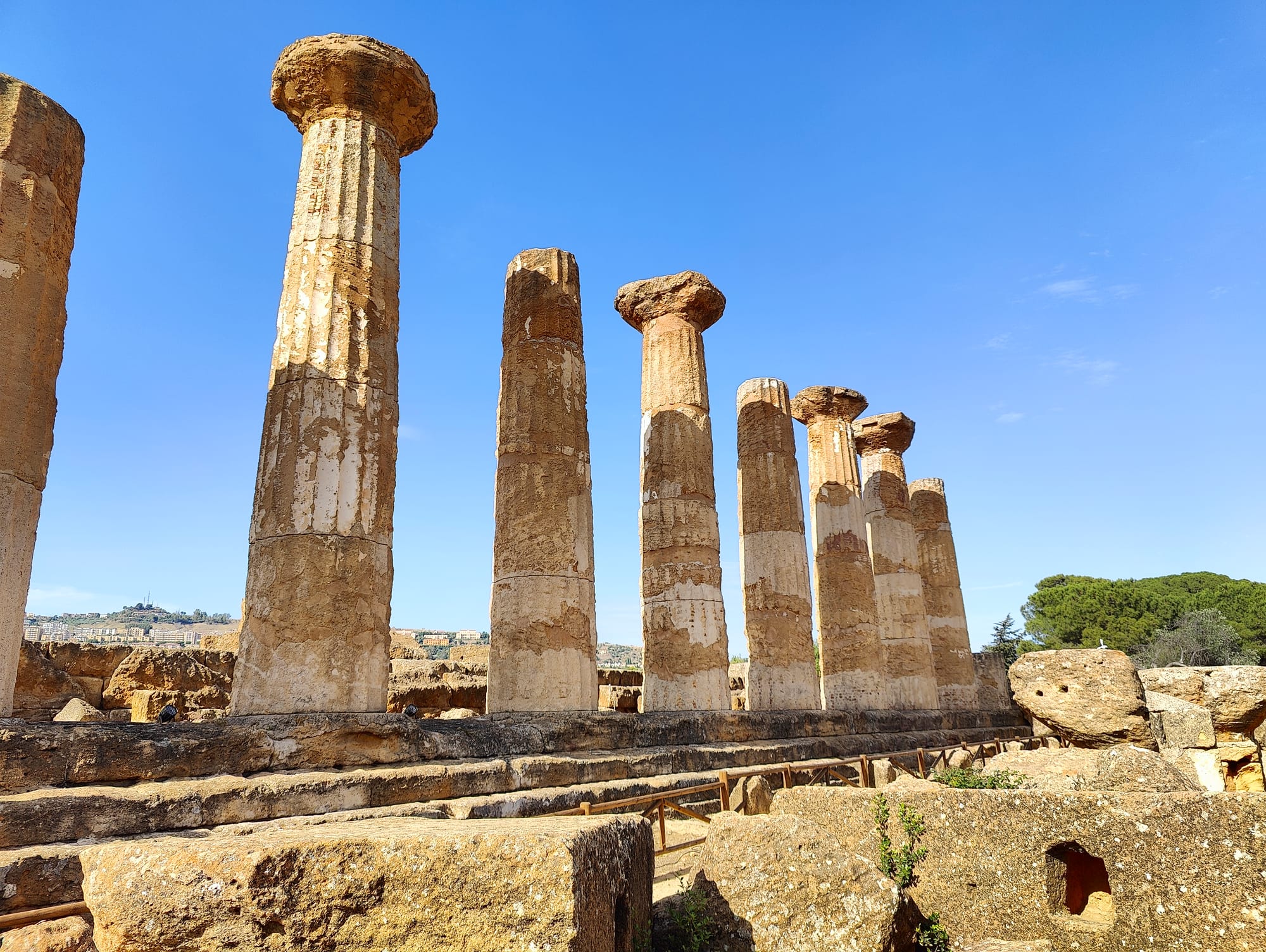 Valle dei Templi 2024