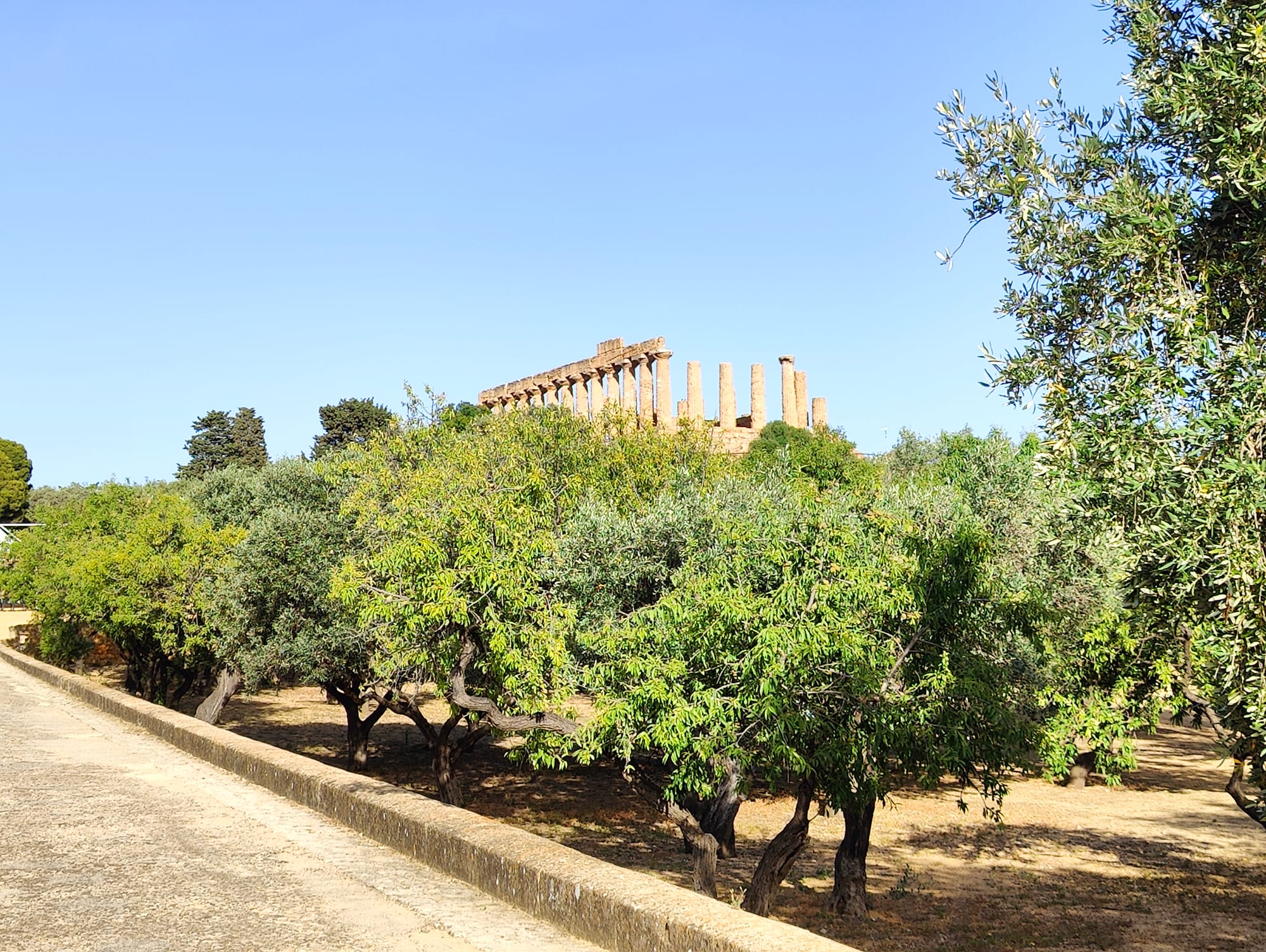 Valle dei Templi 2024