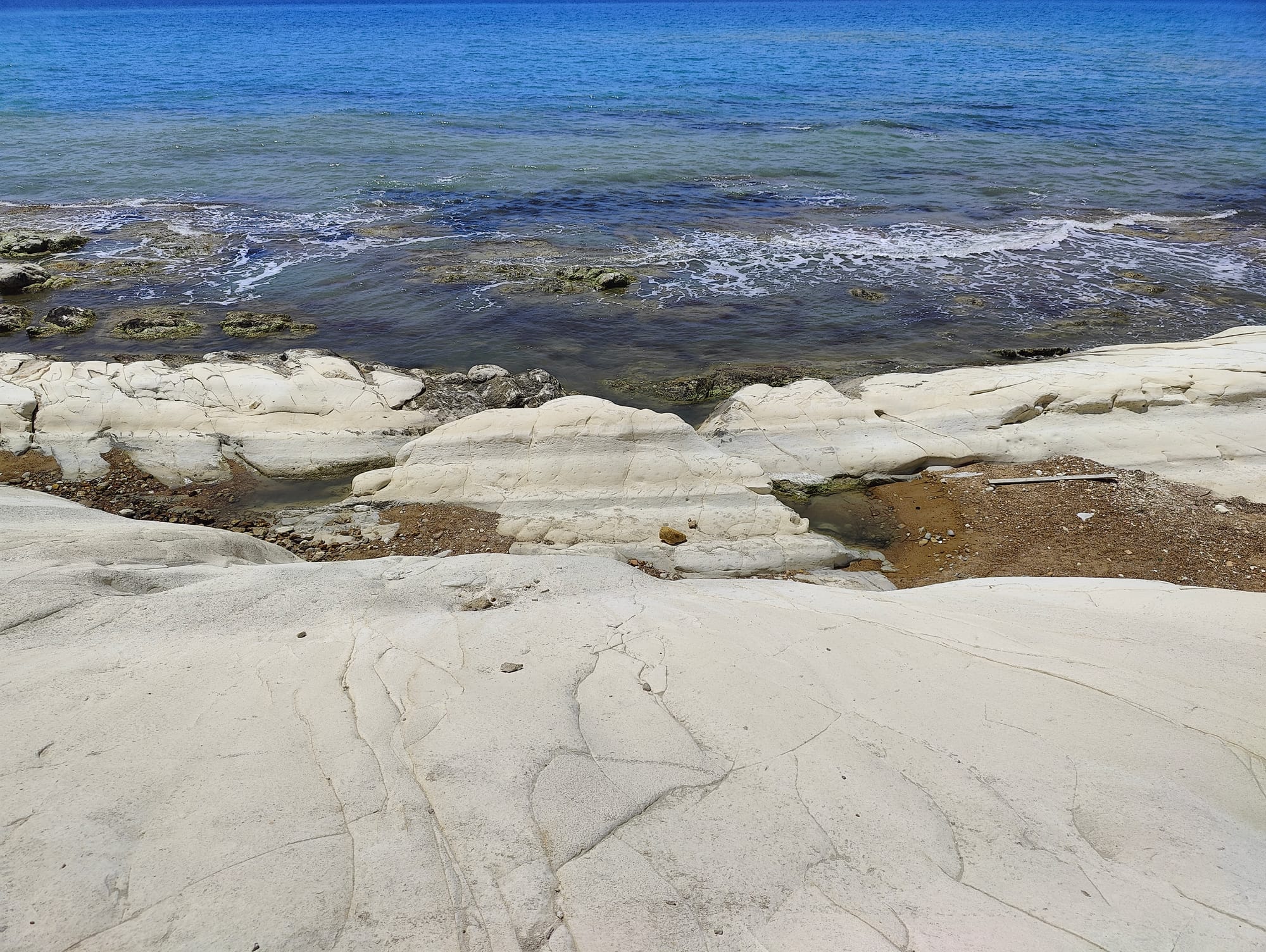 Riserva di Punta Bianca 2024