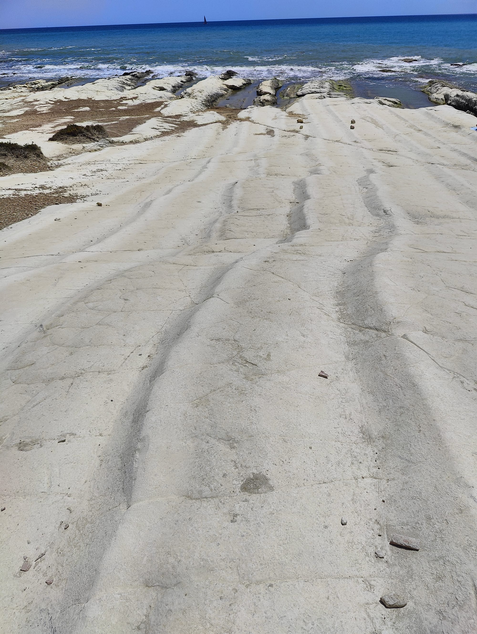 Riserva di Punta Bianca 2024