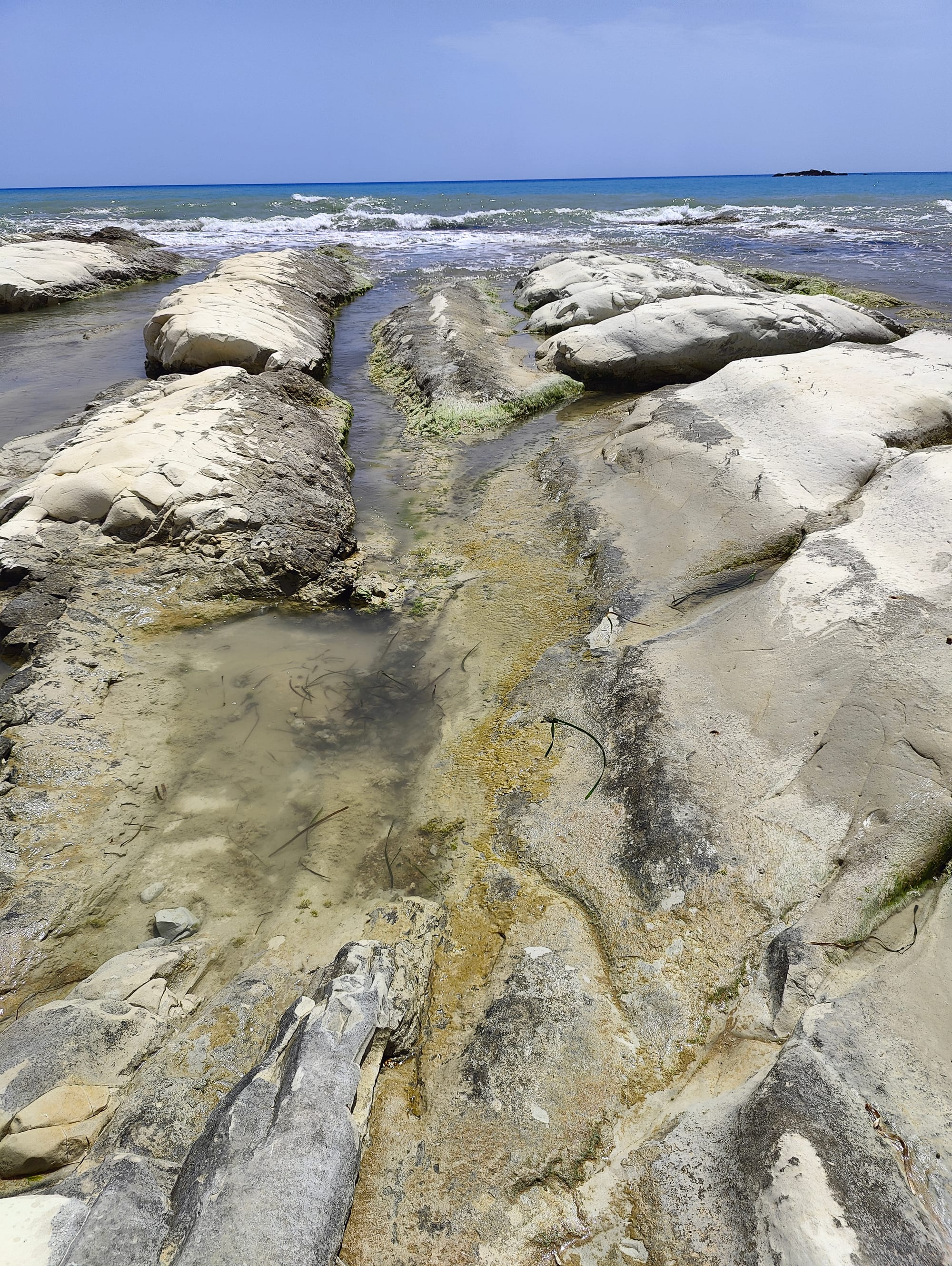 Riserva di Punta Bianca 2024