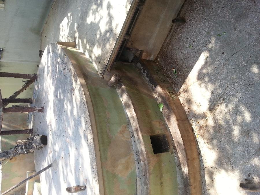 Roma - Bioparco 2014