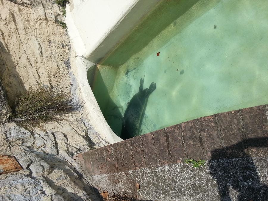 Roma - Bioparco 2014