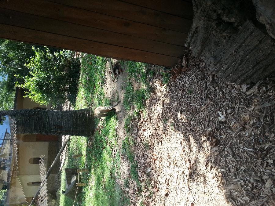 Roma - Bioparco 2014