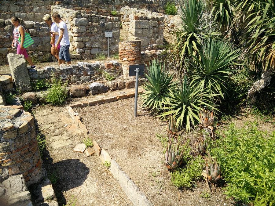 Patti - Tindari 2015