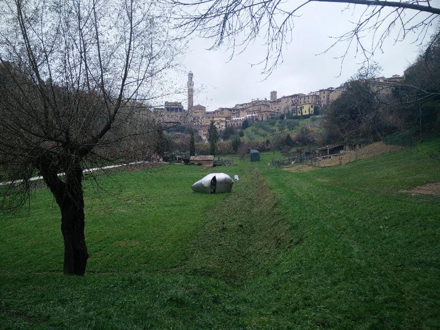 Siena 2015